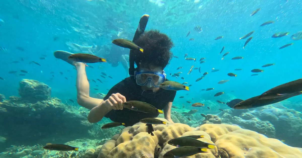 Spot snorkeling pulau genteng kecil
