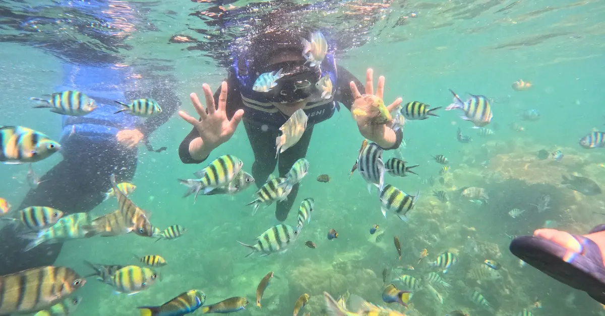 aktivitas snorkling di pulau macan 2D 1N