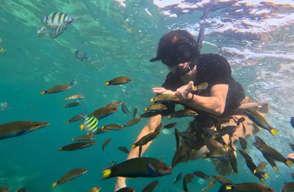 Snorkeling Pulau Putri