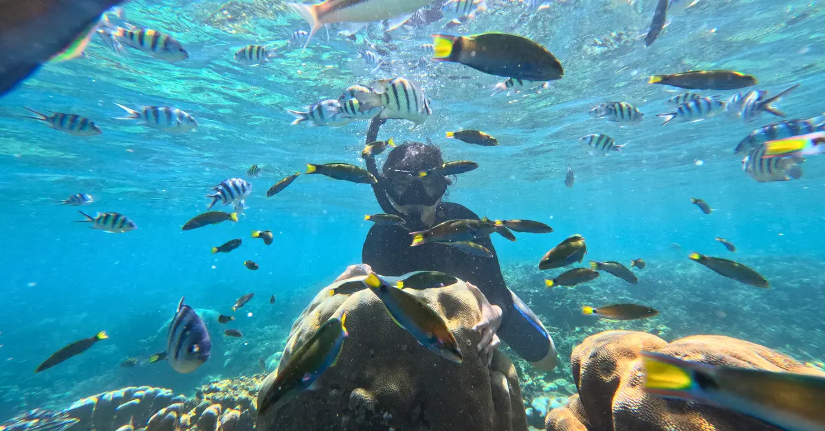 lokasi snorkling pulau putri