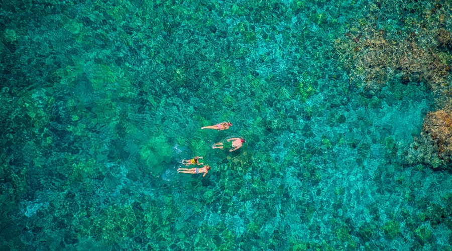 snorkeling di Pulau Seribu