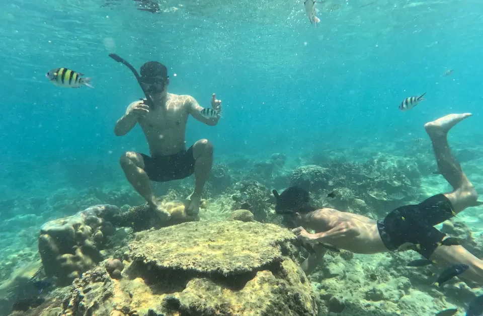 snorkling pulau pari