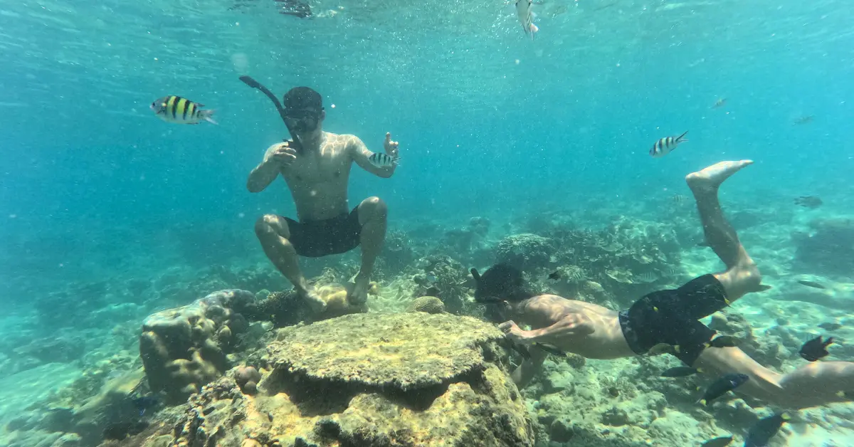 snorkling pulau pari