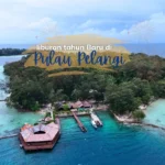 tahun baru di pulau pelngi